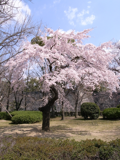 08032702.jpg