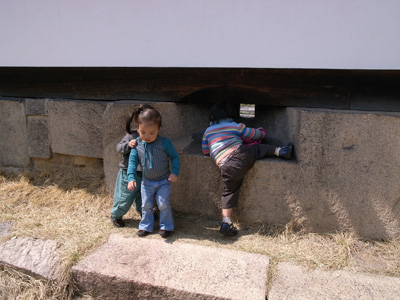 08032704.jpg