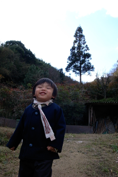 08hiiba03.jpg