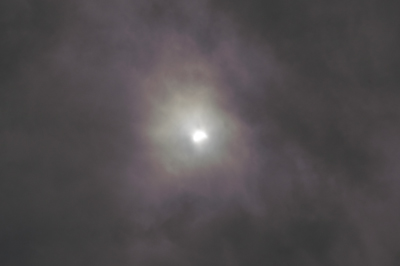 DSC_02291.jpg