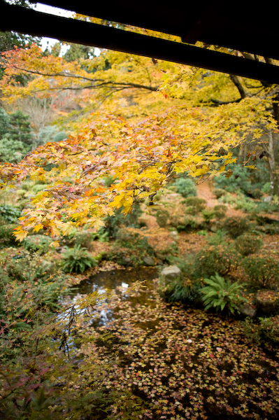 DSC_03431.jpg