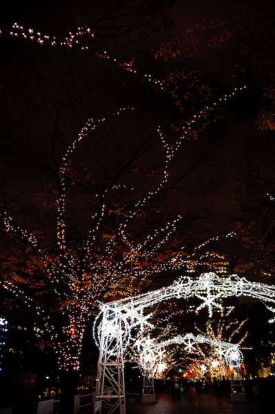 DSC_06411.jpg