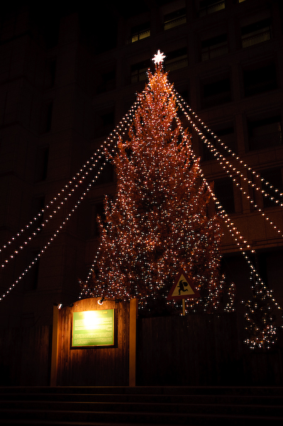 DSC_06481.jpg