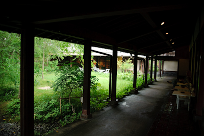 DSC_0802a.jpg