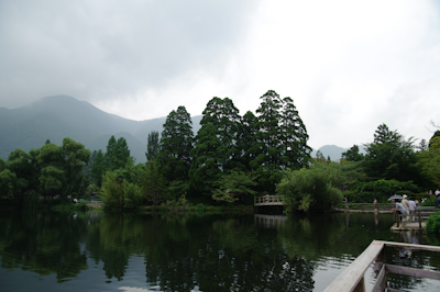 DSC_0879a.jpg