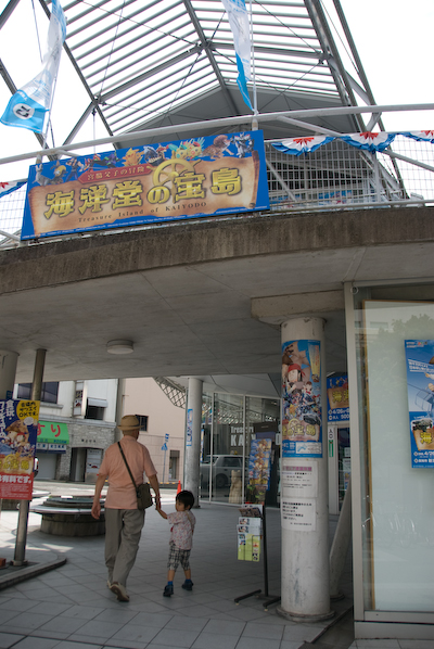 DSC_1005.jpg