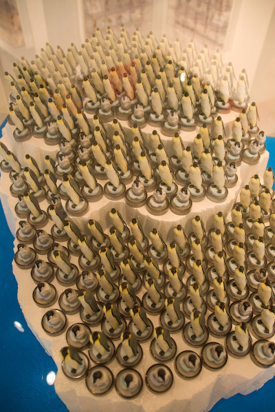 DSC_1103.jpg
