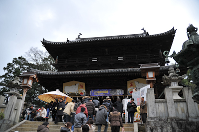 DSC_2015.jpg