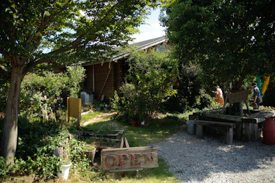 DSC_2350.jpg