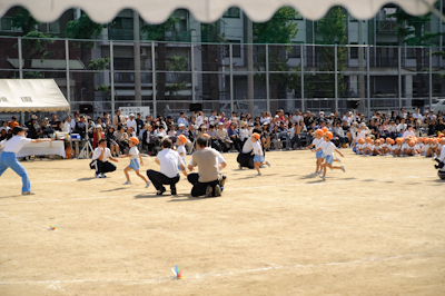 DSC_2808.jpg
