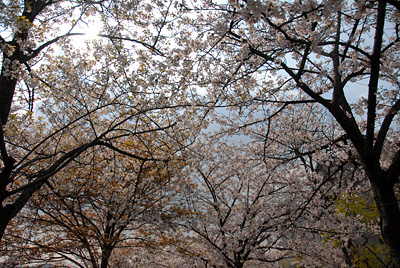 DSC_2879.jpg