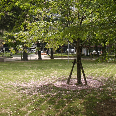 DSC_2989.jpg