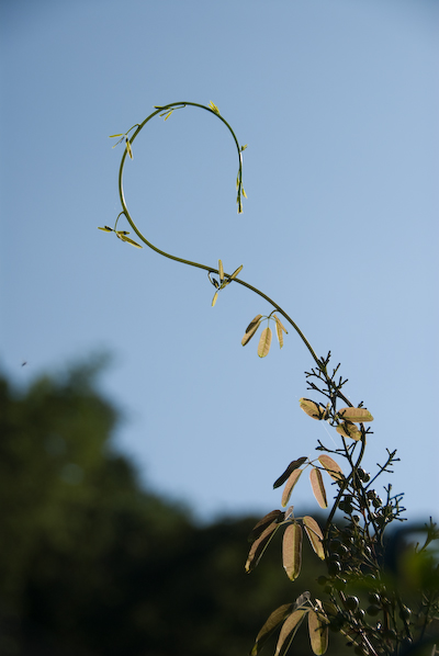 DSC_3333.jpg