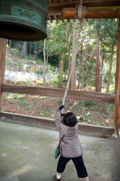 DSC_33760.jpg