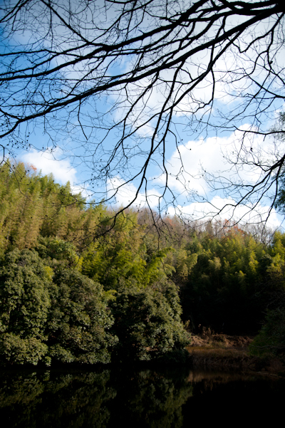 DSC_34600.jpg