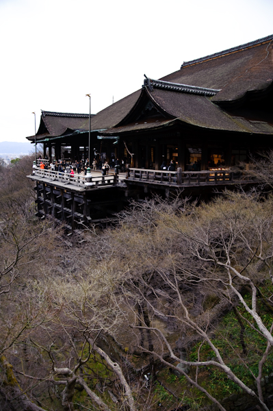 DSC_36161.jpg