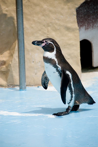 DSC_3788.jpg