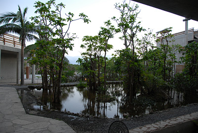 DSC_4059.jpg