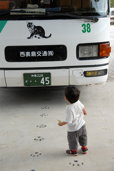 DSC_4096.jpg