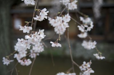 DSC_4168.jpg