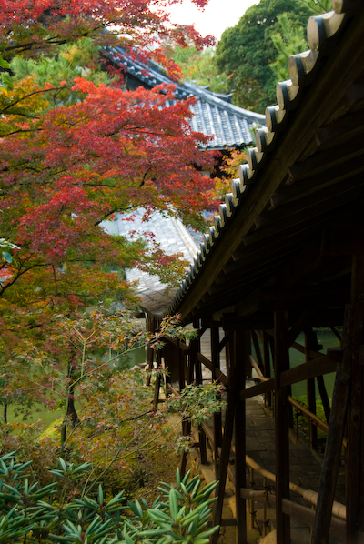 DSC_43831.jpg