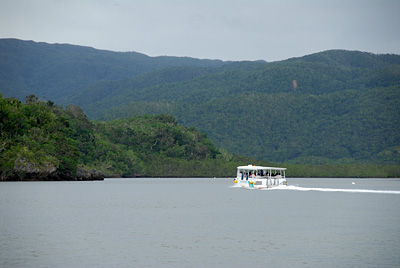 DSC_4511.jpg