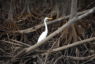 DSC_4564.jpg