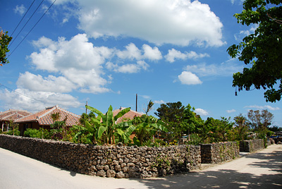 DSC_5075.jpg