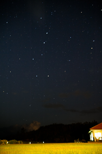DSC_5322.jpg