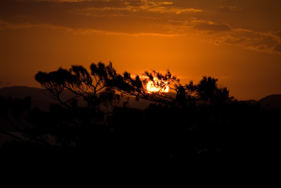 DSC_5377.jpg