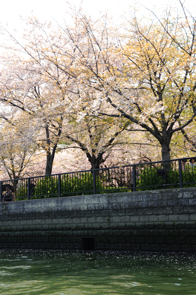DSC_58191.jpg