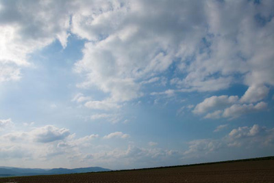 DSC_5847.jpg