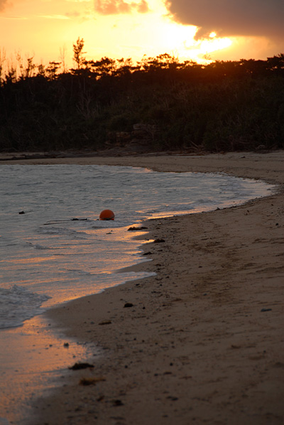 DSC_5957.jpg
