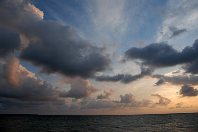 DSC_5958.jpg