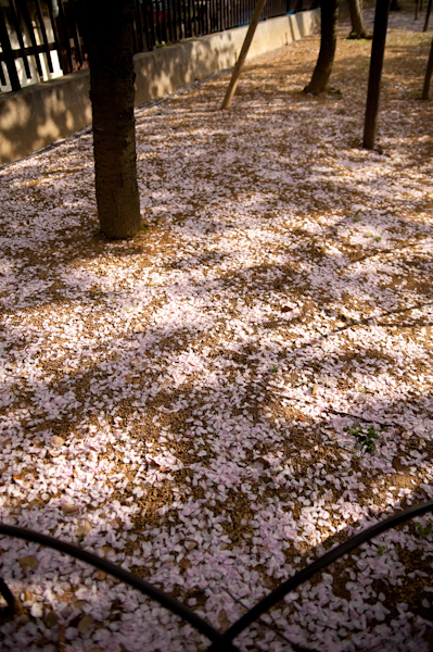 DSC_63161.jpg