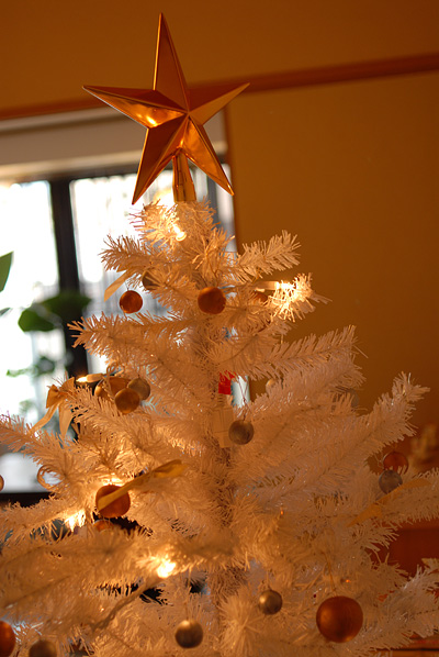 DSC_6963.jpg