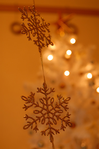 DSC_6988.jpg