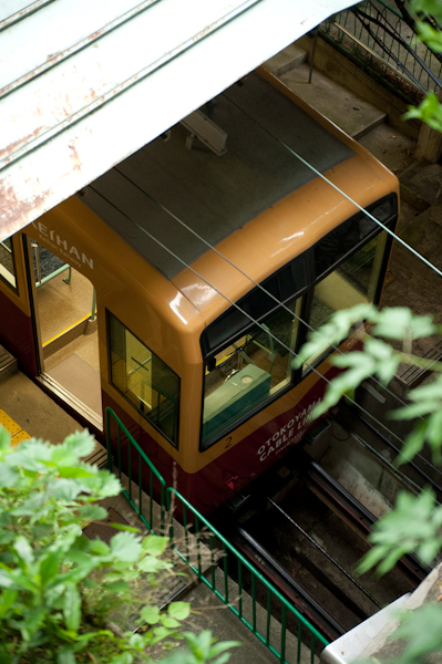 DSC_75081.jpg