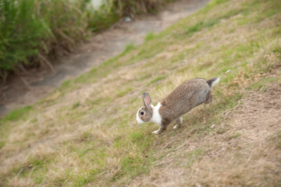 DSC_84841.jpg