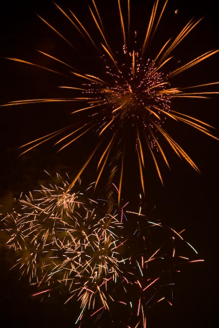 DSC_8600.jpg