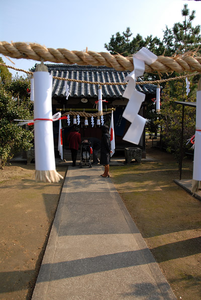 DSC_8670.jpg