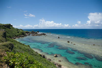 DSC_8747.jpg