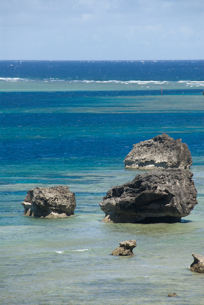 DSC_8748.jpg