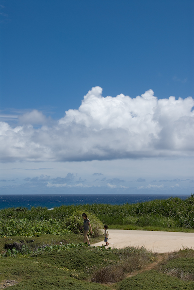 DSC_8760.jpg