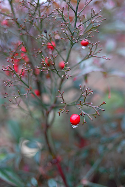 DSC_8846.jpg