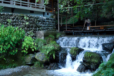 DSC_8930.jpg