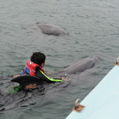 DSC_9082.jpg