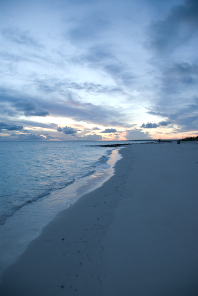 DSC_9180.jpg