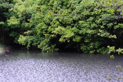DSC_9214.jpg