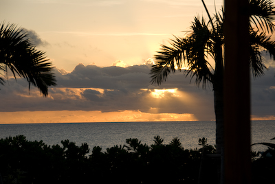 DSC_9608.jpg